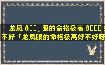 龙凤 🌸 眼的命格极高 🐘 好不好「龙凤眼的命格极高好不好呀」